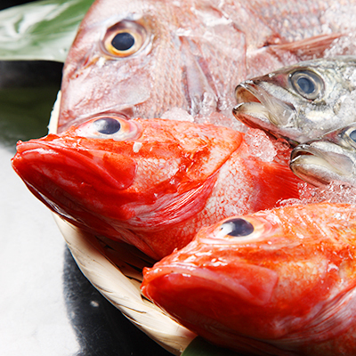 新鮮な魚介